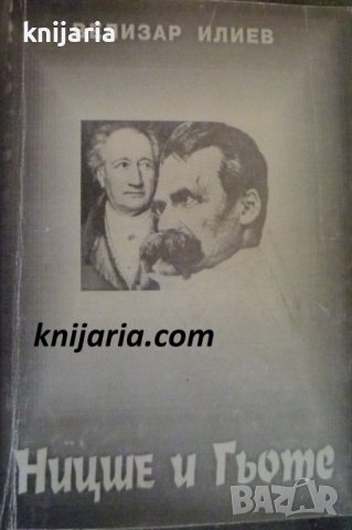 Ницше и Гьоте, снимка 1 - Специализирана литература - 41616052