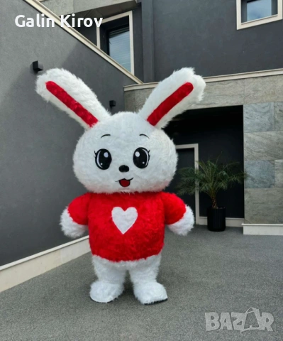 Герои за различни поводи!, снимка 13 - Надуваеми играчки - 53071378