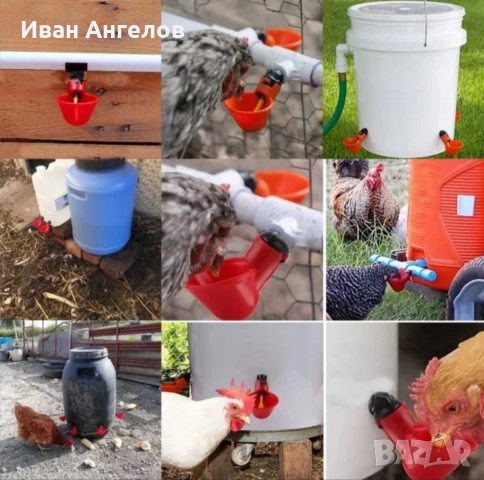 Поилки за птици зайци пъдпъдъци гълъби кокошки и др, снимка 5 - За селскостопански - 51771852