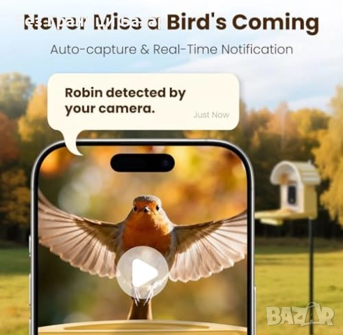 Нова соларна Смарт хранилка за птици с 2.5K камера и AI разпознаване, снимка 2 - Други стоки за дома - 52655380