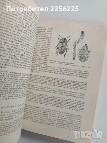 Ентомология - 1988г., снимка 10 - Специализирана литература - 56271410