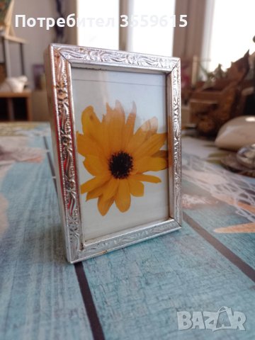 метална фото рамка със слънчоглед