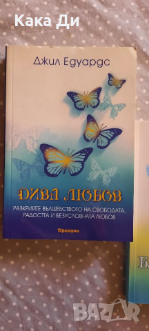 Чисто Блаженство и Дива Любов, снимка 2 - Специализирана литература - 36231637