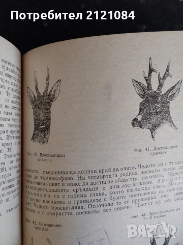 Подборен отстрел на едрия дивеч / Н.Ботев, И.Колев,П.Драгоев , снимка 2 - Специализирана литература - 53475650