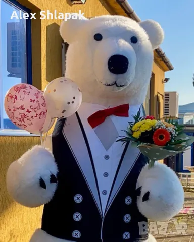 Голяма Бяла Мечка Варна за изненада