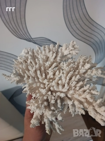 Естествен корал, снимка 3 - Антикварни и старинни предмети - 49805247