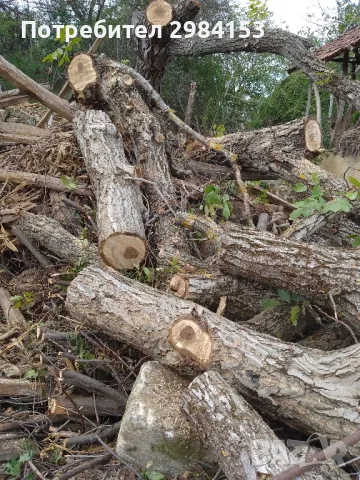 дървен материал орехи, снимка 2 - Други - 47606858