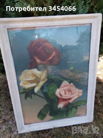 Стари картини