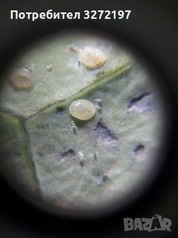 Джобен микроскоп с щипка за мобилен телефон, UV светлина 60X LED, лупа, регулиране на фокусирането, снимка 12 - Селфи стикове, аксесоари - 40932666