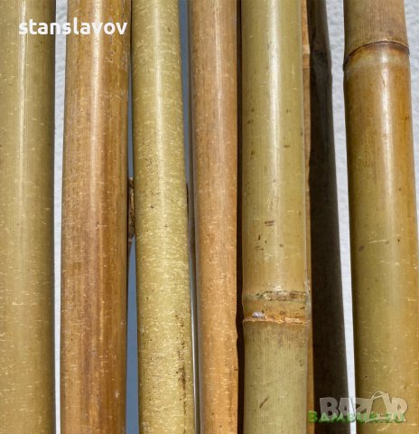 Бамбукови пръчки 295 см бамбукови колчета бамбукови колци, снимка 2 - Градински мебели, декорация  - 41339498