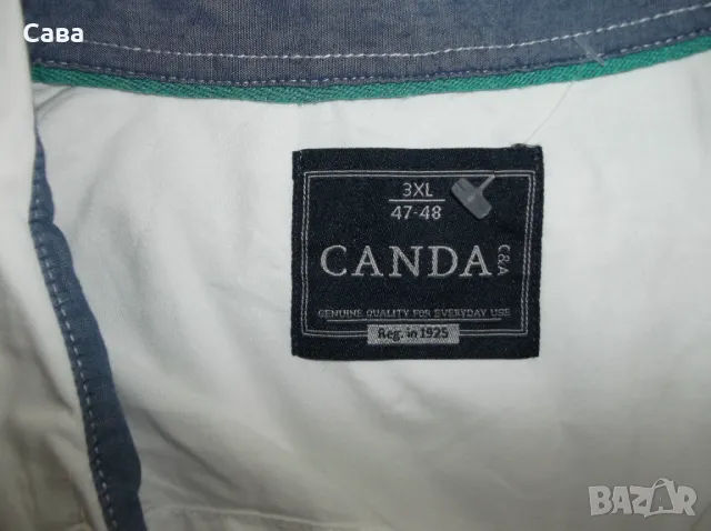 Тениска и риза CANDA  мъжки,3ХЛ, снимка 2 - Тениски - 50101493