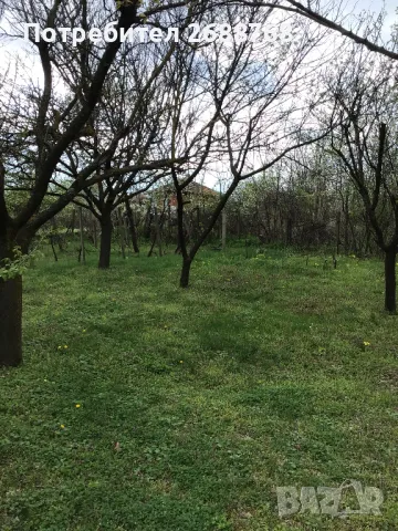 Селска къща, с. Юпер, снимка 12 - Къщи - 50224078