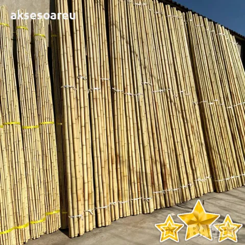 Семена бамбук Moso Bambo декоративни растения за дома и двора бамбуков разсад за декорация, снимка 7 - Сортови семена и луковици - 48995495