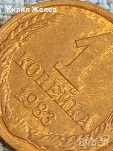 Стара монета 1 копейка 1983г. СССР рядка за КОЛЕКЦИЯ ДЕКОРАЦИЯ 37730, снимка 8 - Нумизматика и бонистика - 48023180