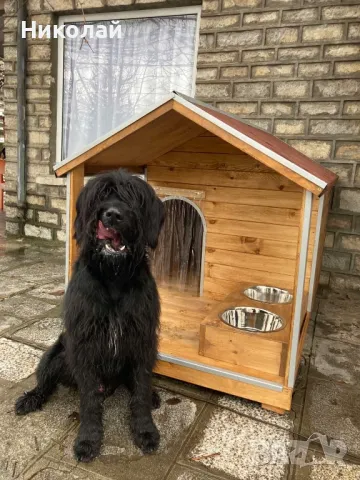 кучешка къща,къща за куче,колиба за куче,кучешка колиба
