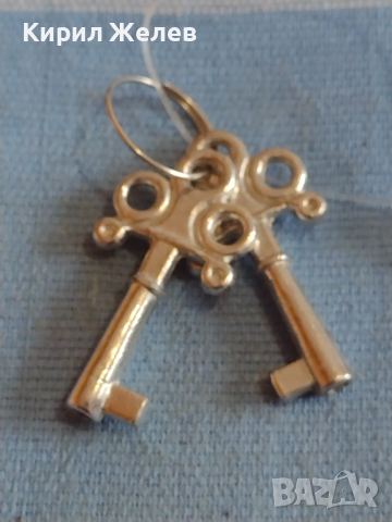 Две красиви декоративни ключета за бижута декорация Арт инсталации 38912