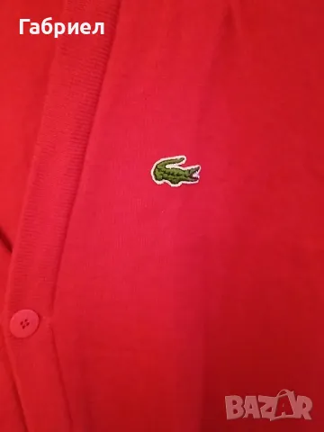 мъжка жилетка Lakoste. , снимка 4 - Пуловери - 48289539