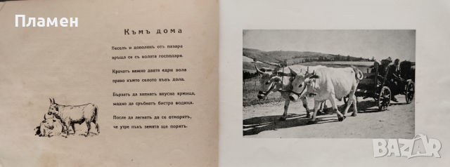 Другари-животни Ценко Цветанов, снимка 4 - Антикварни и старинни предмети - 44744649
