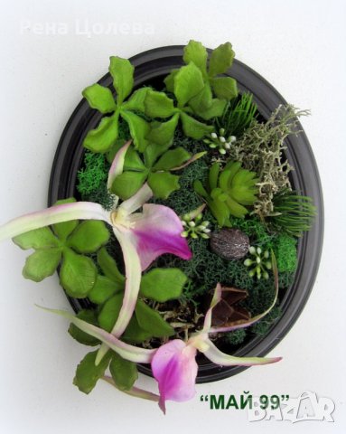 Комплект пана със скандинавски мъх и цвят орхидея, снимка 3 - Пана - 35982530