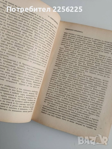 Списание Златорогь 1929г ( 1-10 ), снимка 10 - Специализирана литература - 53113499