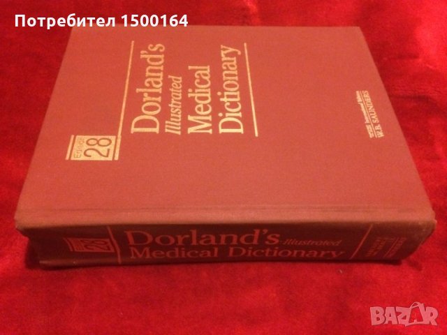 Медицински учебник.Dorland's illustrated Medical Dictionary 28.версия, снимка 6 - Специализирана литература - 35776907