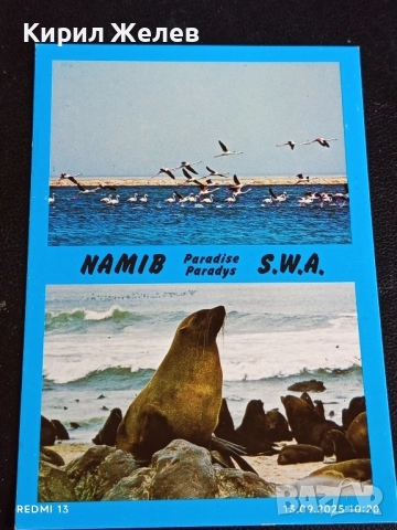 Четири пощенски картички ГДАНСК ПОЛША,СОЛУН ГЪРЦИЯ, БЕРКОВИЦА за КОЛЕКЦИОНЕРИ 5881, снимка 2 - Филателия - 51698329