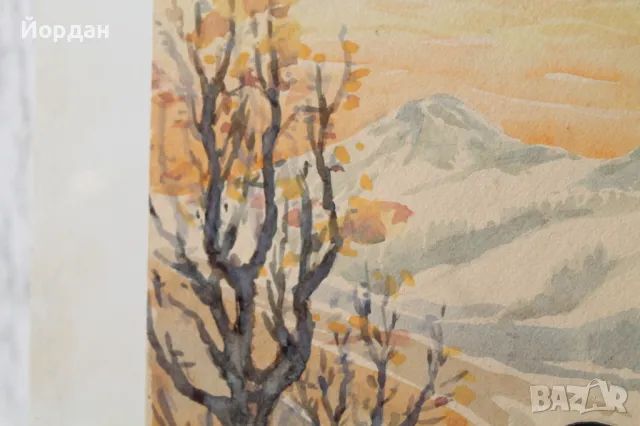 Акварел /автор-Никола Пилчев/ ''Старопланинска черешарка'', снимка 6 - Картини - 49131538