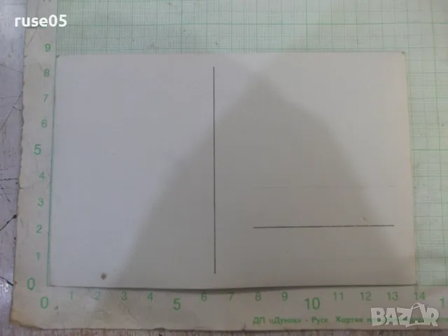 Снимка стара пред шадравана, снимка 2 - Колекции - 47904752