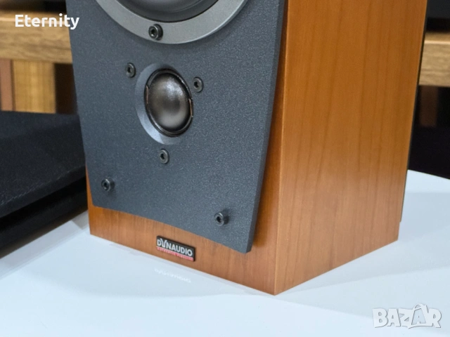 Dynaudio Contour SR / Тонколони, снимка 5 - Тонколони - 53433247