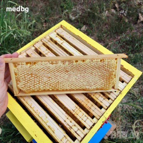 Пчелна рамка с мед / ЛУКС / Див градеж / 100% НАТУРАЛНО, снимка 2 - Пчелни продукти - 41929437