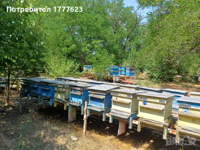 Сандъци за кошери, снимка 8 - За пчели - 51412024