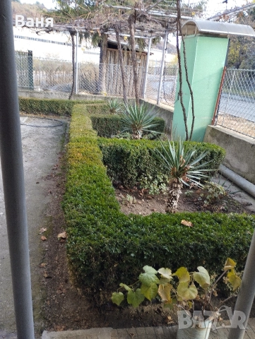 продавам къща, снимка 3 - Къщи - 52794169