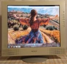 Sony SDM–M81 FTF LCD Color Computer Dispay, снимка 1