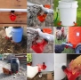 Поилки за птици зайци пъдпъдъци гълъби кокошки и др, снимка 5