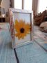 метална фото рамка със слънчоглед, снимка 1 - Декорация за дома - 40970260