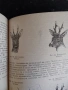 Подборен отстрел на едрия дивеч / Н.Ботев, И.Колев,П.Драгоев , снимка 2