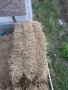 бали сено и люцерна , снимка 3