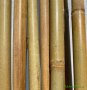 Бамбукови пръчки 295 см бамбукови колчета бамбукови колци, снимка 2