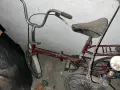 Колела балканче , снимка 2