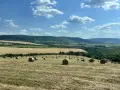 Ролонни Бали С Мрежа, снимка 9