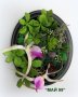 Комплект пана със скандинавски мъх и цвят орхидея, снимка 3