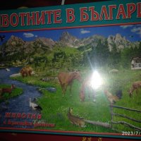 Животните в Бъпгария,50вида животни, снимка 1 - Играчки за стая - 41411565