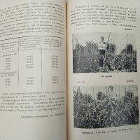 Практическо ръководство,изкуствени торове,1938г, снимка 7 - Антикварни и старинни предмети - 36005442