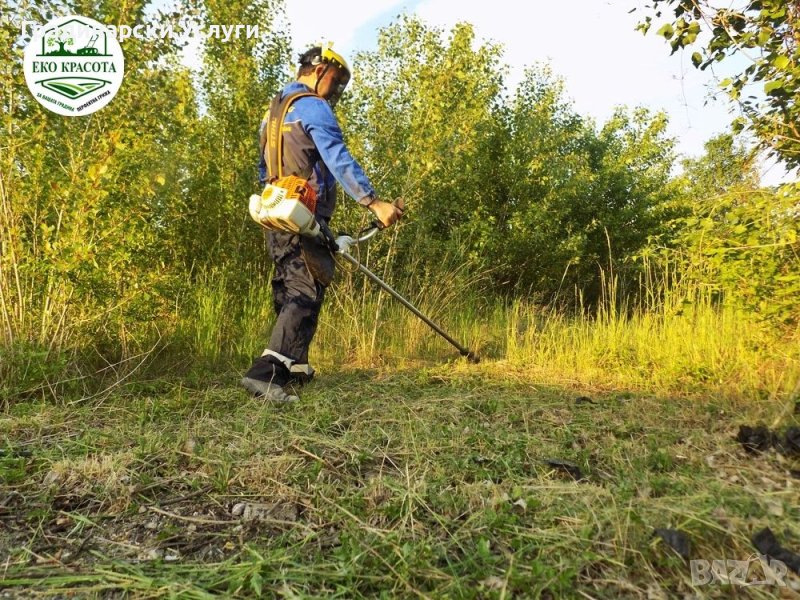 ПРЕДЛАГАМЕ Градинарски Услуги, снимка 1