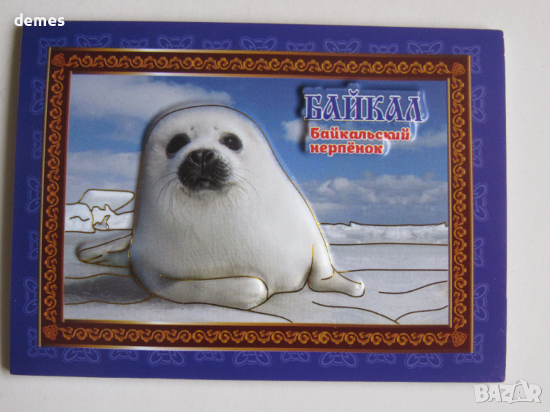 Автентичен 3D магнит от езерото Байкал, Русия-серия, снимка 1