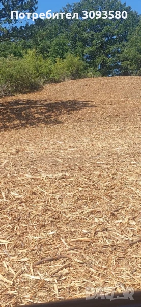 почистване на захрастени терени и пасища с мулчер , снимка 1
