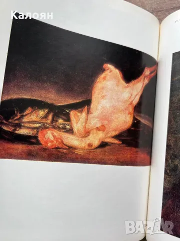 Стар албум на Гоя , снимка 8 - Специализирана литература - 48075673