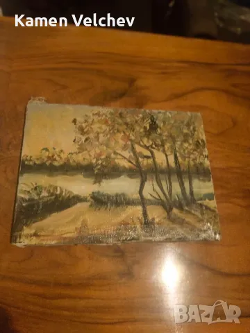 Стара картина.Маслени бой..., снимка 2 - Антикварни и старинни предмети - 49240830