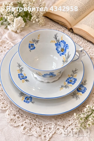 Винтидж порцеланов комплект Plankenhammer Floss Bavaria. (1930-те г.), снимка 3 - Антикварни и старинни предмети - 53821594