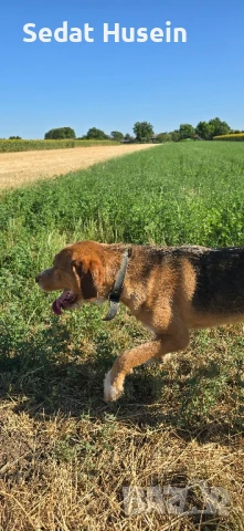 продавам барак , снимка 1